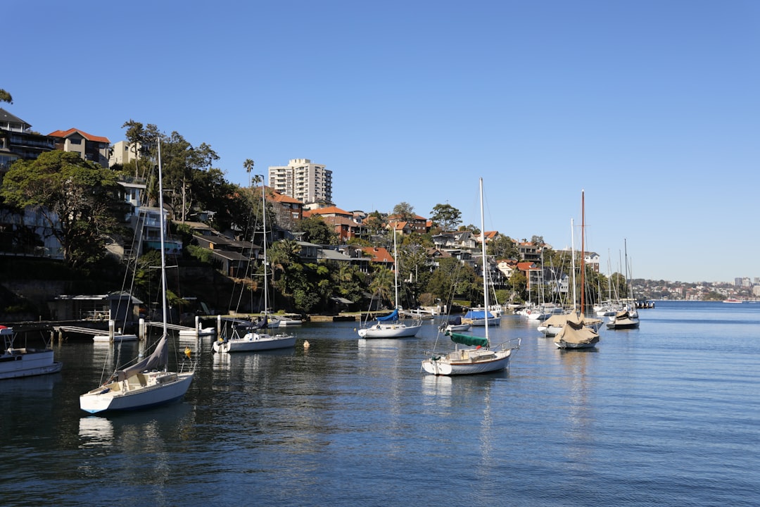 A bunch of boats that are in the water